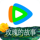 云情 玩物直播回放
